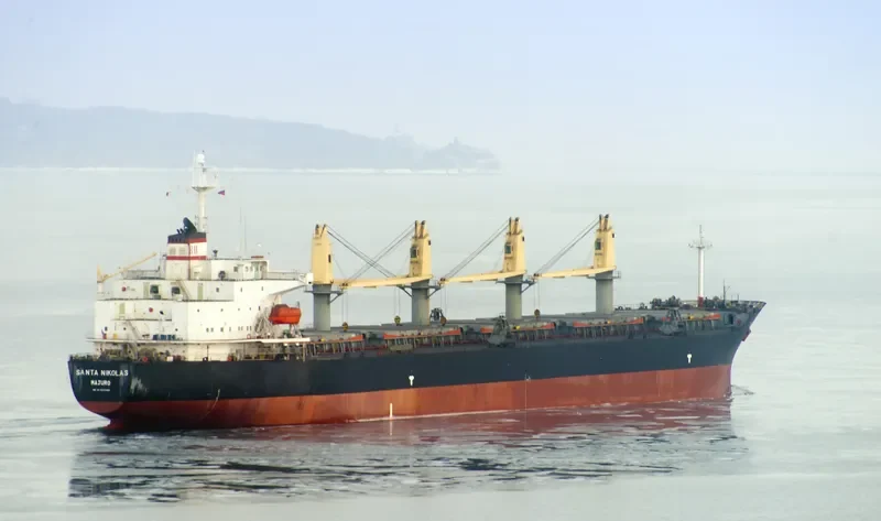 SANTY Bulk Carrier IMO 9233985