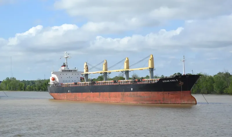 SANTY Bulk Carrier IMO 9233985 photo 6