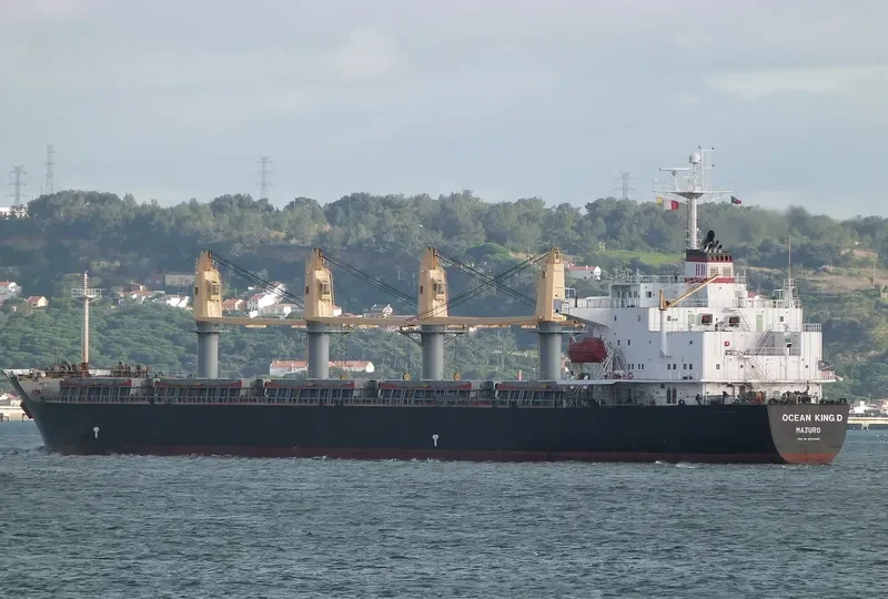 SANTY Bulk Carrier IMO 9233985 photo 9