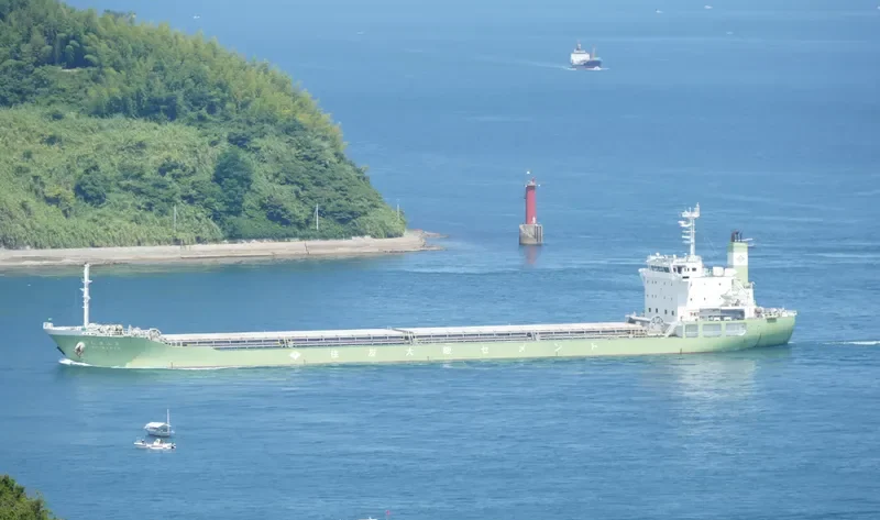 SHIMANTO Bulk Carrier IMO 9234056