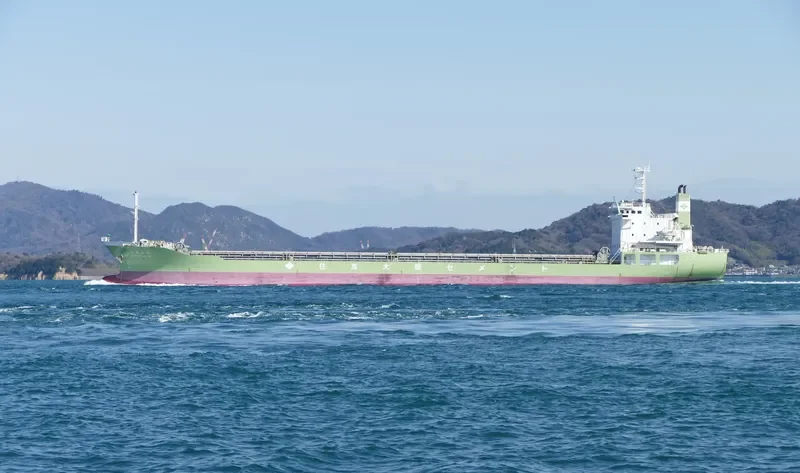 SHIMANTO Bulk Carrier IMO 9234056 photo 5