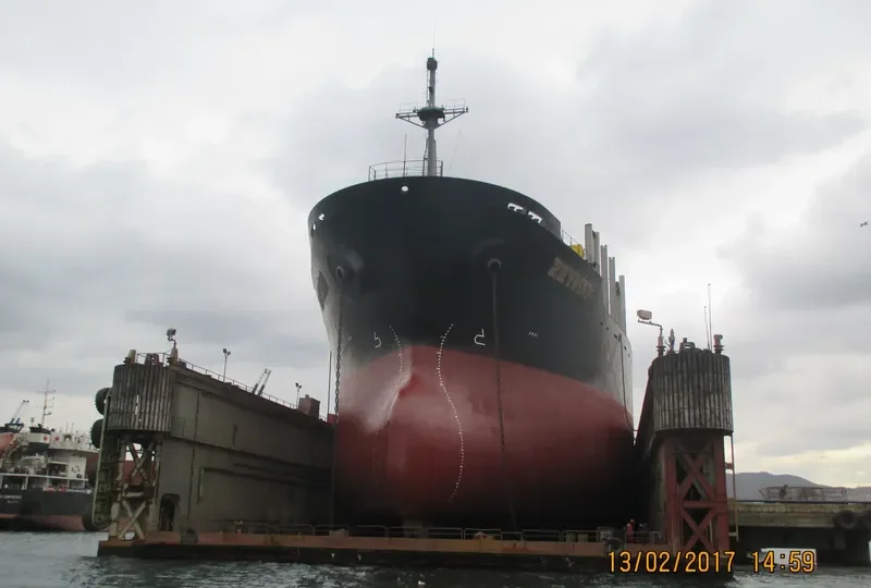 MONTARA Bulk Carrier IMO 9234202 photo 10