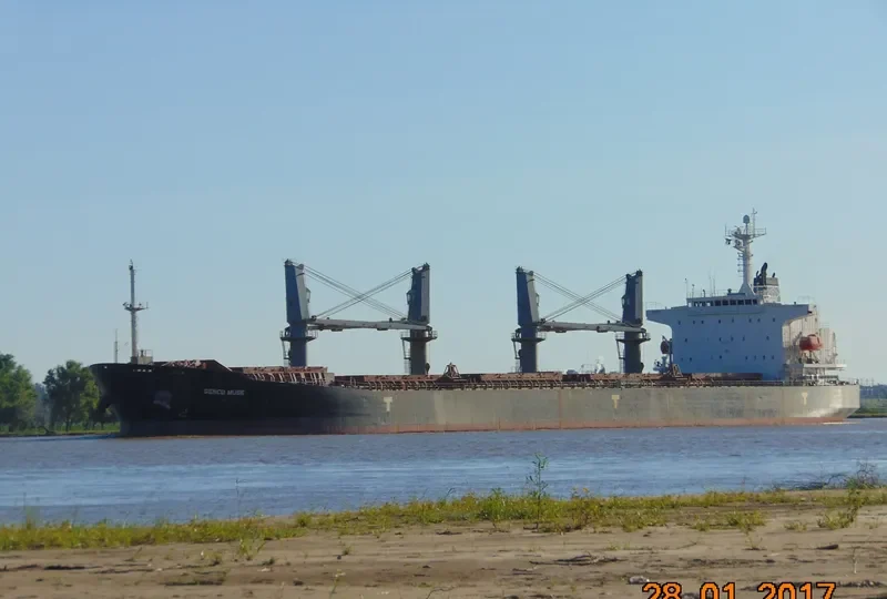 LOTUS Bulk Carrier IMO 9234214 photo 8