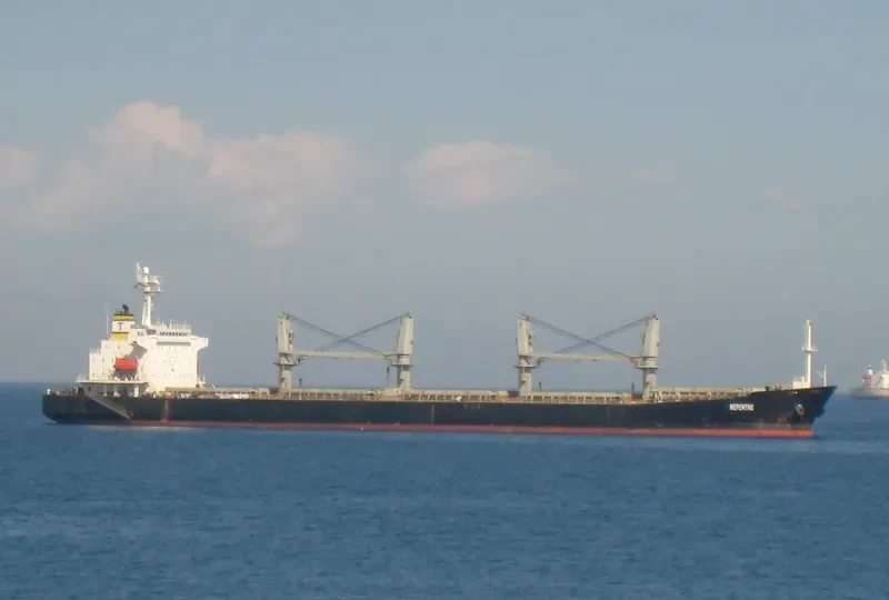 SHI HUA 17 Bulk Carrier IMO 9234226