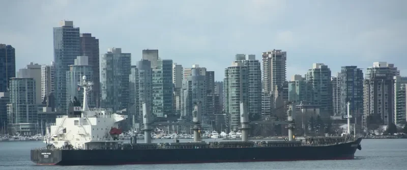 SHI HUA 17 Bulk Carrier IMO 9234226 photo 6