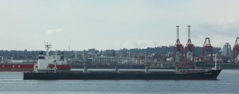 SHI HUA 17 Bulk Carrier IMO 9234226 photo 7