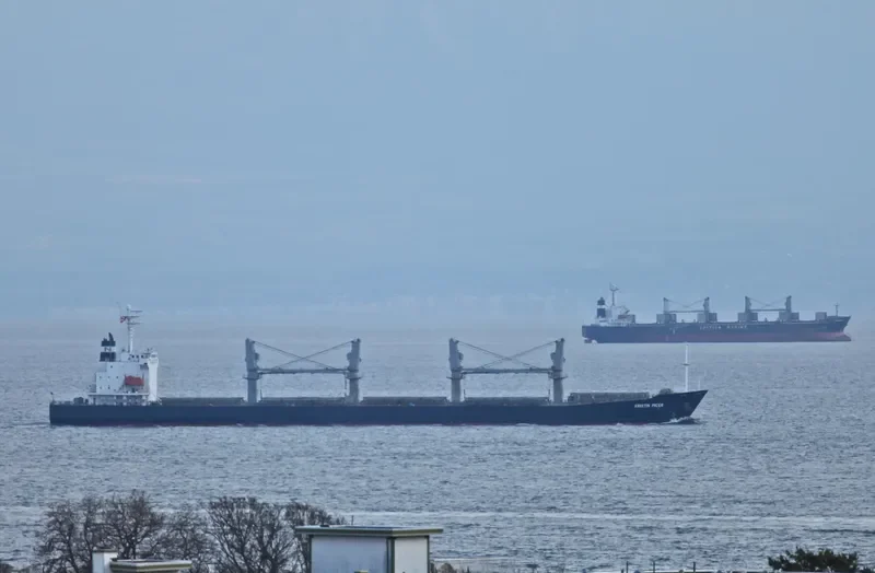 SHI HUA 17 Bulk Carrier IMO 9234226 photo 8