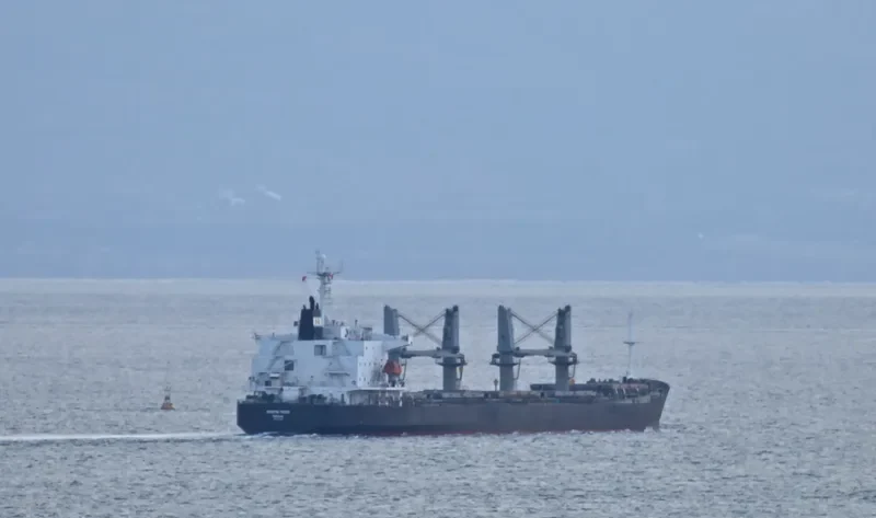 SHI HUA 17 Bulk Carrier IMO 9234226 photo 9
