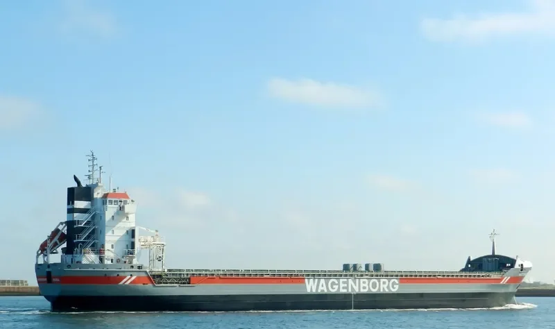 VICTORIABORG Container Ship IMO 9234276 photo 5