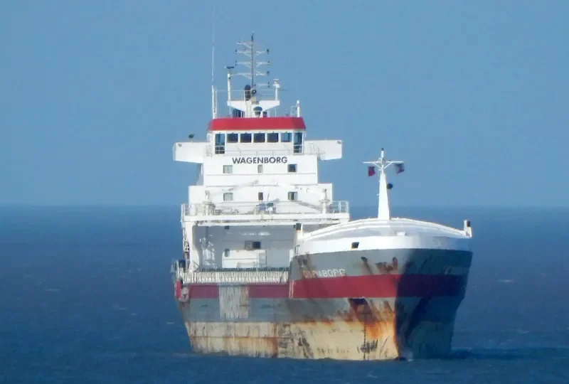 VICTORIABORG Container Ship IMO 9234276 photo 8