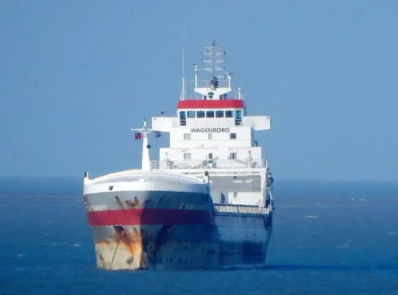 VICTORIABORG Container Ship IMO 9234276 photo 9