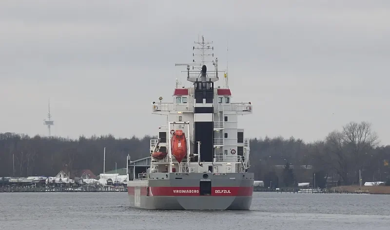 VIRGINIABORG Container Ship IMO 9234290 photo 2