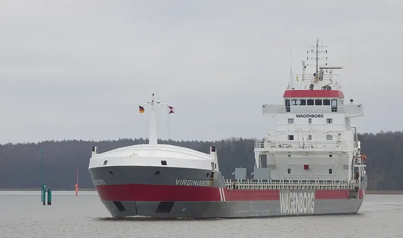 VIRGINIABORG Container Ship IMO 9234290 photo 5