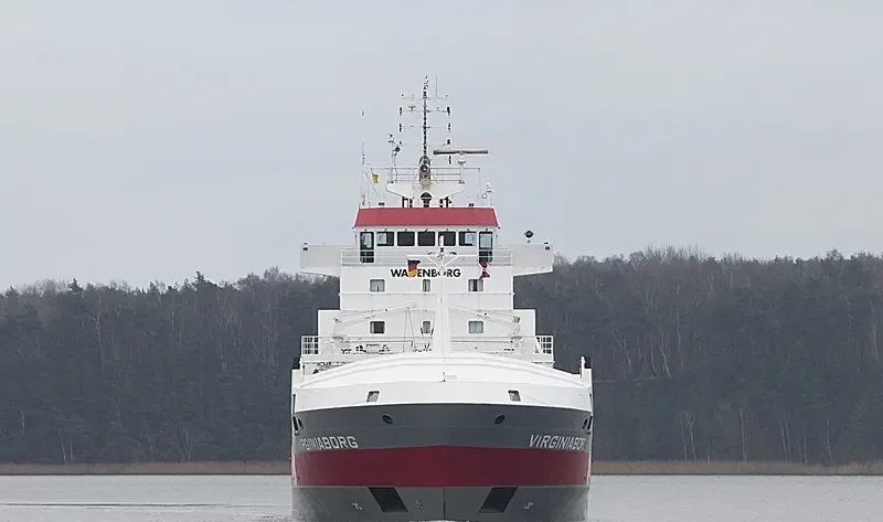 VIRGINIABORG Container Ship IMO 9234290 photo 6