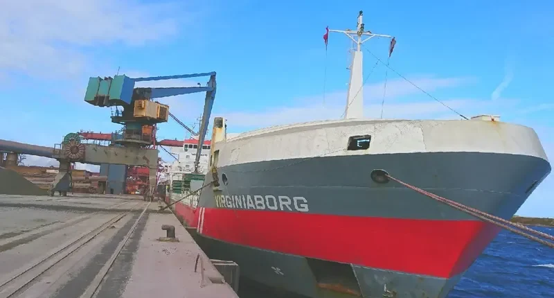 VIRGINIABORG Container Ship IMO 9234290 photo 8