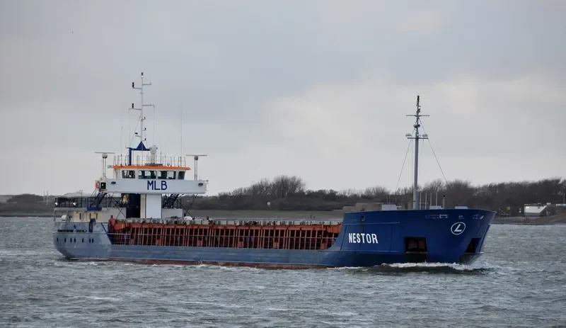 NESTOR Container Ship IMO 9234305 photo 2