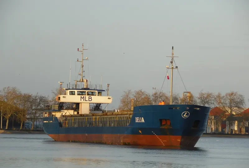 DELIA General Cargo IMO 9234317