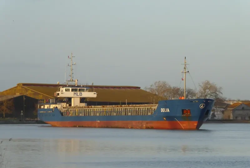 DELIA General Cargo IMO 9234317 photo 3