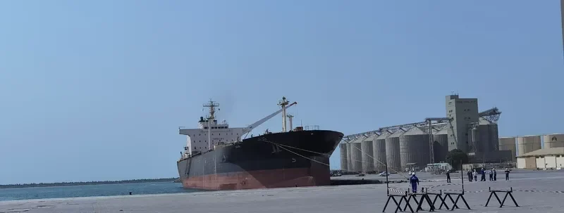 SEALION I Tanker IMO 9234501 photo 2