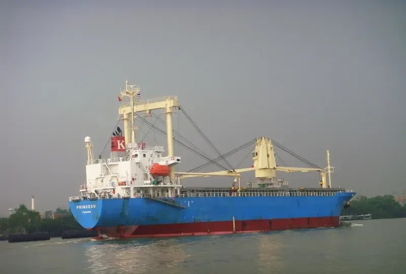 PRINCESS General Cargo IMO 9234771 photo 5