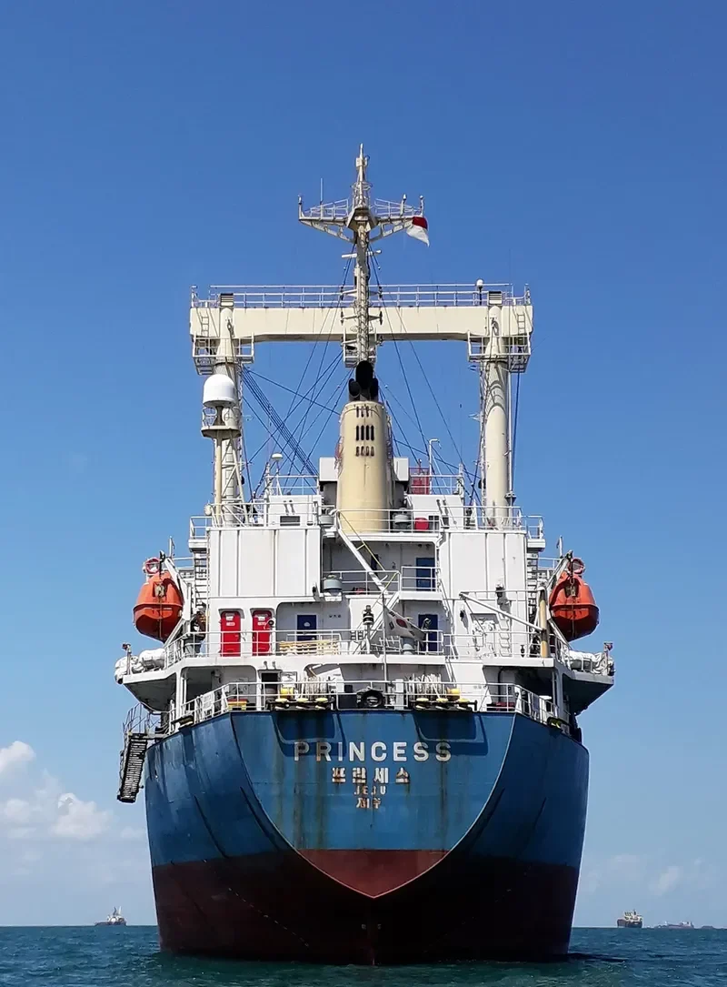 PRINCESS General Cargo IMO 9234771 photo 9