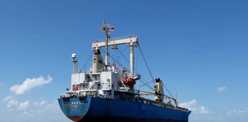 PRINCESS General Cargo IMO 9234771 photo 10