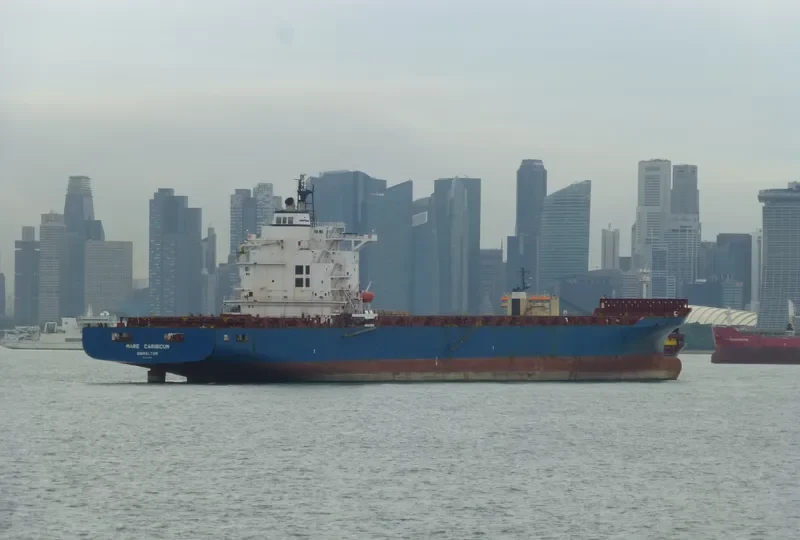 OEL TRANSWORLD Container Ship IMO 9235086