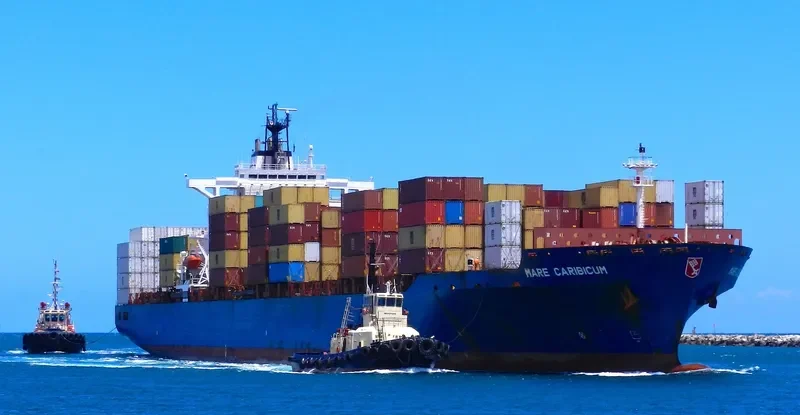 OEL TRANSWORLD Container Ship IMO 9235086 photo 5