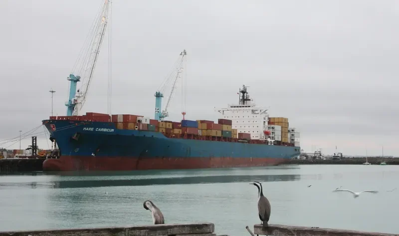 OEL TRANSWORLD Container Ship IMO 9235086 photo 10