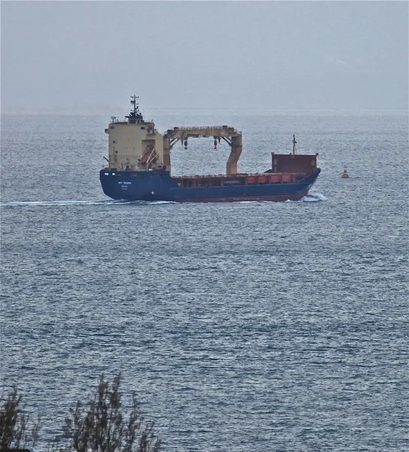TRIUMPH General Cargo IMO 9235139 photo 8