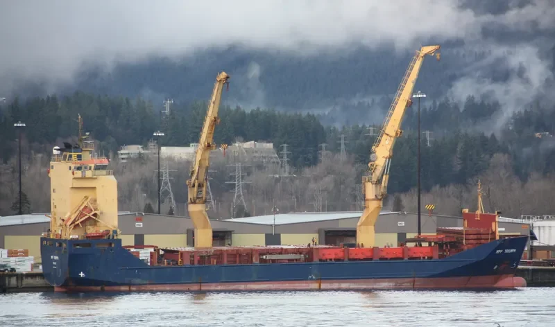 TRIUMPH General Cargo IMO 9235139 photo 9