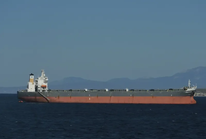 FORTUNE TRADER Bulk Carrier IMO 9235232 photo 2