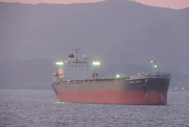 FORTUNE TRADER Bulk Carrier IMO 9235232 photo 5