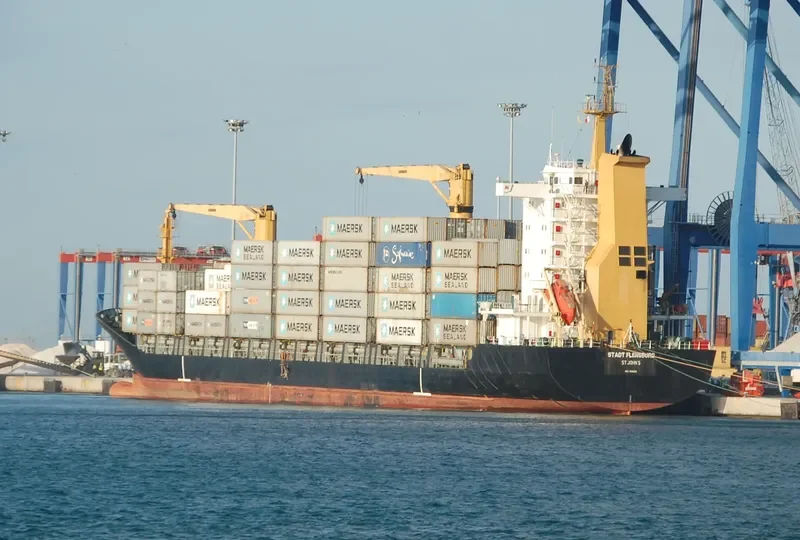 MSC VERA F Container Ship IMO 9235610 photo 2