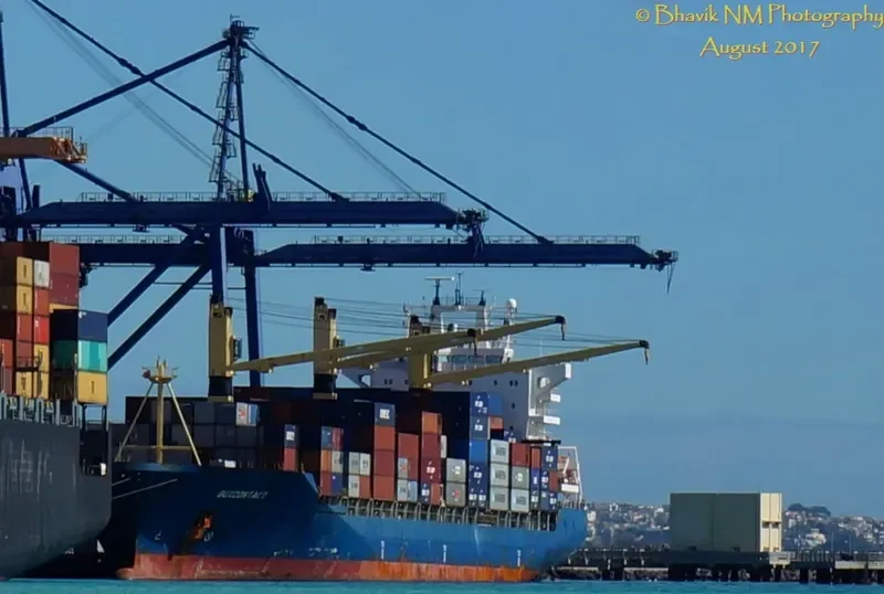 BUXCONTACT Container Ship IMO 9235828