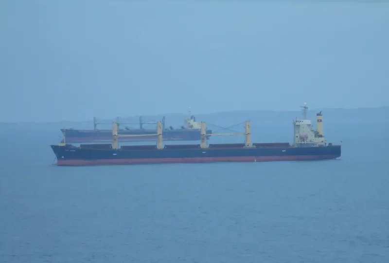 ELLIE M Bulk Carrier IMO 9235854 photo 8