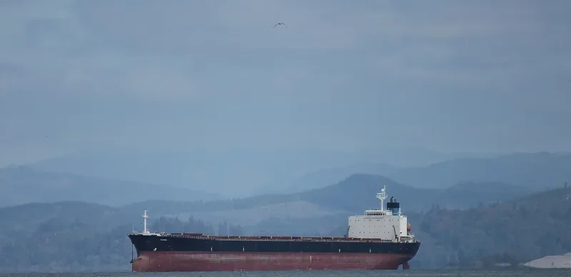 HONG YUN HENG TONG Bulk Carrier IMO 9235878 photo 5