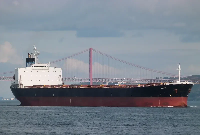 HONG YUN HENG TONG Bulk Carrier IMO 9235878 photo 8