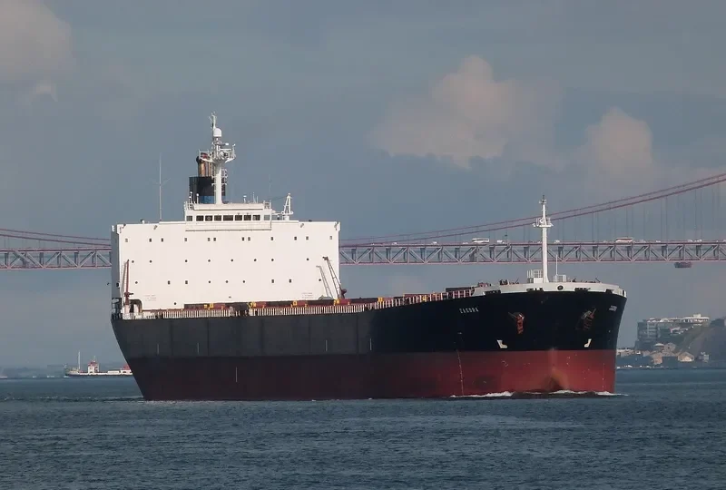 HONG YUN HENG TONG Bulk Carrier IMO 9235878 photo 9