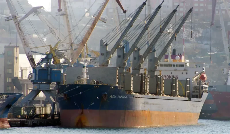 PROFESSOR WENGER Bulk Carrier IMO 9235969 photo 2