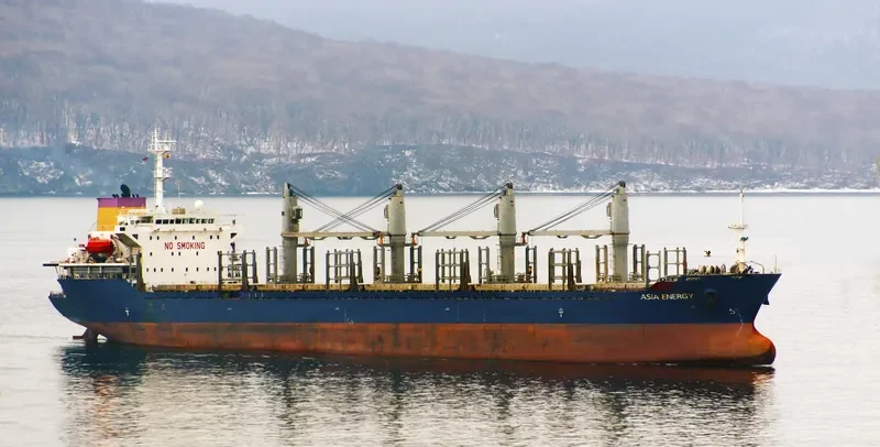 PROFESSOR WENGER Bulk Carrier IMO 9235969 photo 4