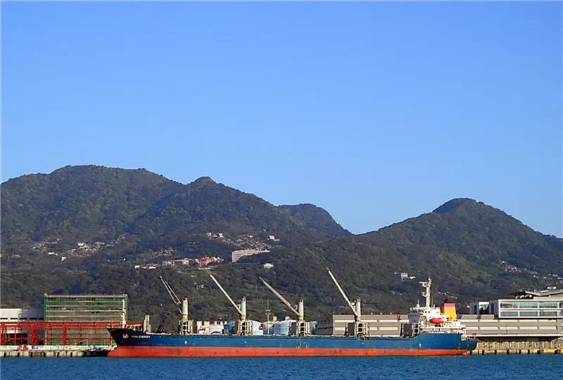 PROFESSOR WENGER Bulk Carrier IMO 9235969 photo 6
