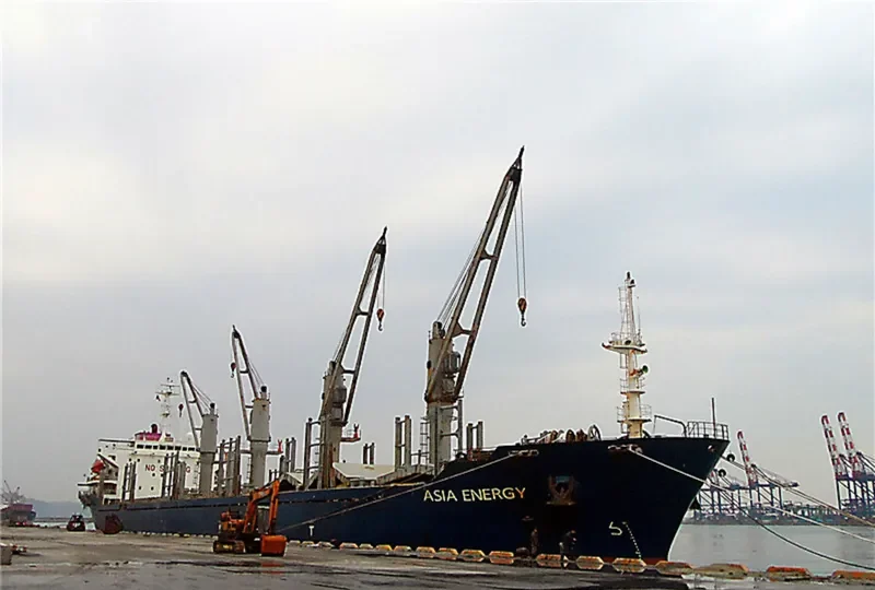 PROFESSOR WENGER Bulk Carrier IMO 9235969 photo 9