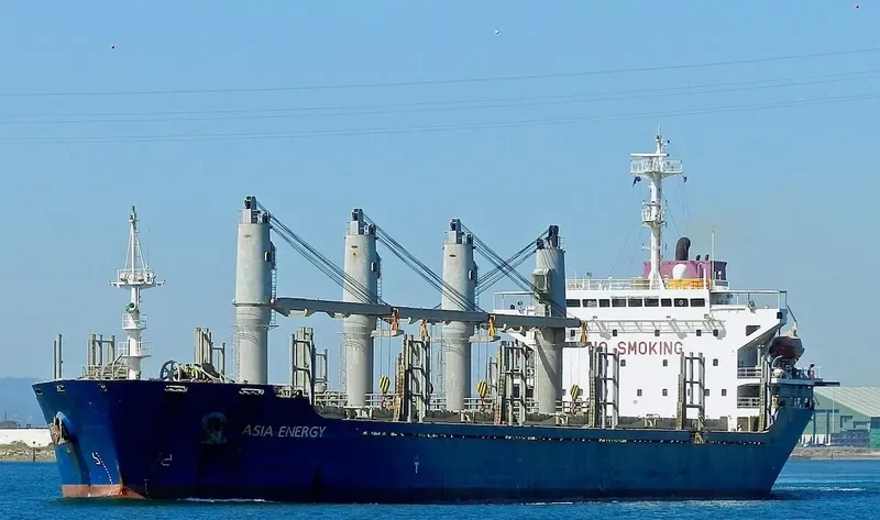 PROFESSOR WENGER Bulk Carrier IMO 9235969 photo 10