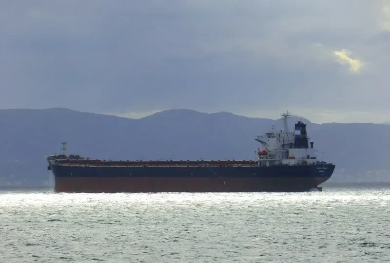 ZHONG LIANG HUA NAN Bulk Carrier IMO 9236195 photo 3