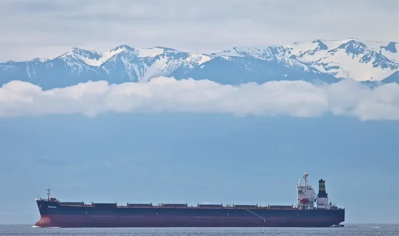 ZHONG LIANG HUA NAN Bulk Carrier IMO 9236195 photo 8