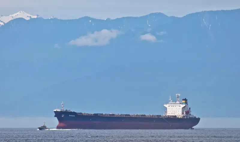 ZHONG LIANG HUA NAN Bulk Carrier IMO 9236195 photo 10