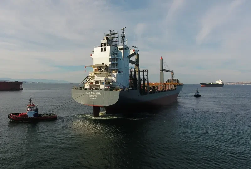 OKEE ANN MARI Container Ship IMO 9236224 photo 3