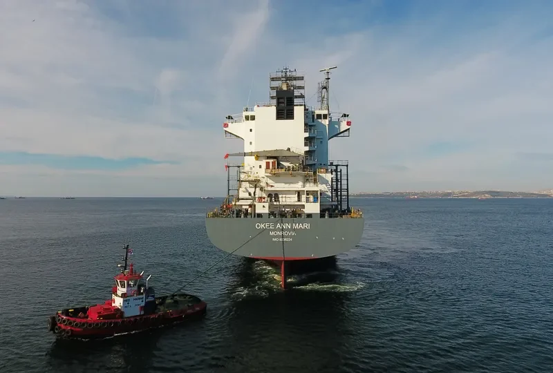OKEE ANN MARI Container Ship IMO 9236224 photo 4