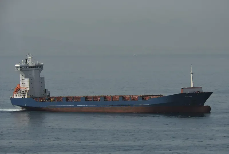 PACOBA Container Ship IMO 9236262 photo 4